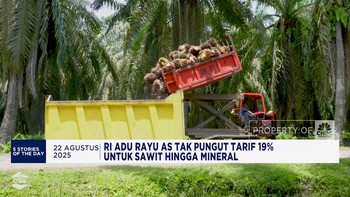 Video: RI Rayu AS Soal Tarif 19% - Tarif Impor Otomotif Turun