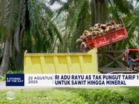 Video: RI Rayu AS Soal Tarif 19% - Tarif Impor Otomotif Turun