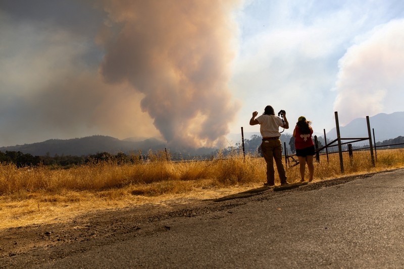 Asap mengepul dari Kebakaran Pickett di Napa County, California, AS, 22 Agustus 2025. (REUTERS/Carlos Barria) Asap mengepul dari Kebakaran Pickett di Napa County, California, AS, 22 Agustus 2025. (REUTERS/Carlos Barria)