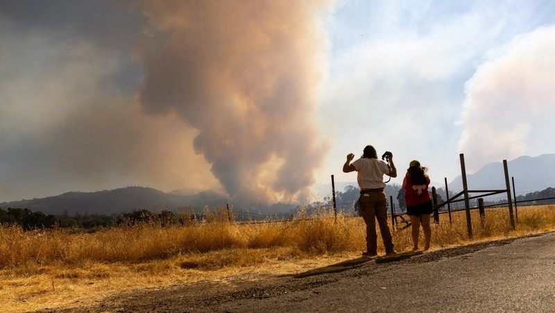 Asap mengepul dari Kebakaran Pickett di Napa County, California, AS, 22 Agustus 2025. (REUTERS/Carlos Barria)