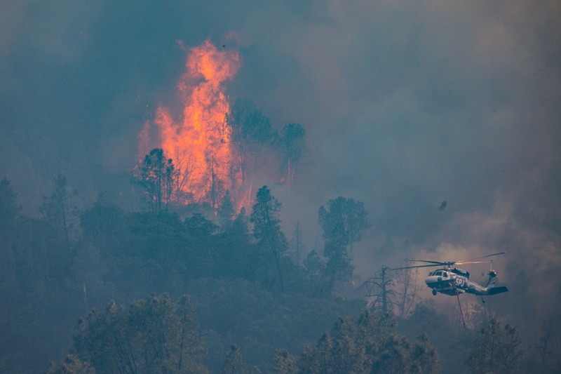 Asap mengepul dari Kebakaran Pickett di Napa County, California, AS, 22 Agustus 2025. (REUTERS/Carlos Barria) Asap mengepul dari Kebakaran Pickett di Napa County, California, AS, 22 Agustus 2025. (REUTERS/Carlos Barria)