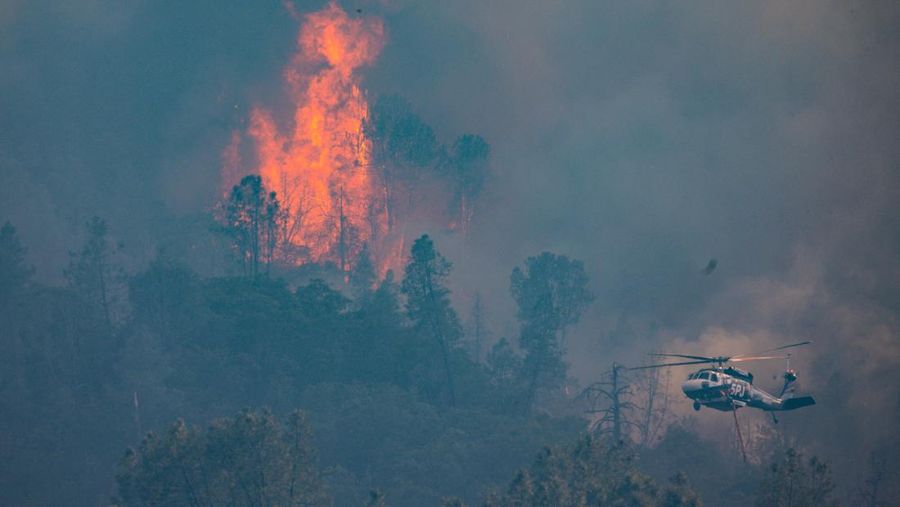 Asap mengepul dari Kebakaran Pickett di Napa County, California, AS, 22 Agustus 2025. (REUTERS/Carlos Barria)