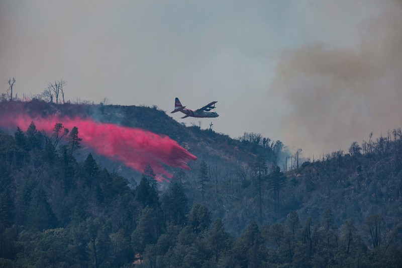 Asap mengepul dari Kebakaran Pickett di Napa County, California, AS, 22 Agustus 2025. (REUTERS/Carlos Barria) Asap mengepul dari Kebakaran Pickett di Napa County, California, AS, 22 Agustus 2025. (REUTERS/Carlos Barria)