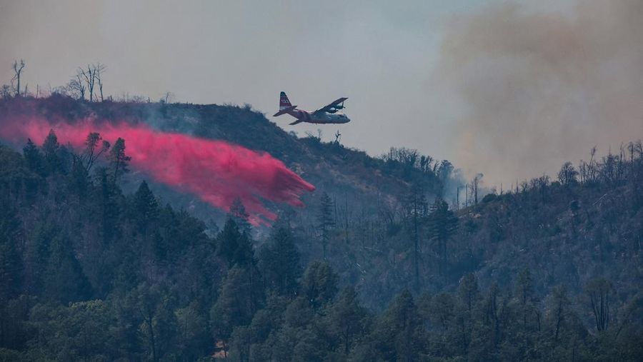 Asap mengepul dari Kebakaran Pickett di Napa County, California, AS, 22 Agustus 2025. (REUTERS/Carlos Barria)