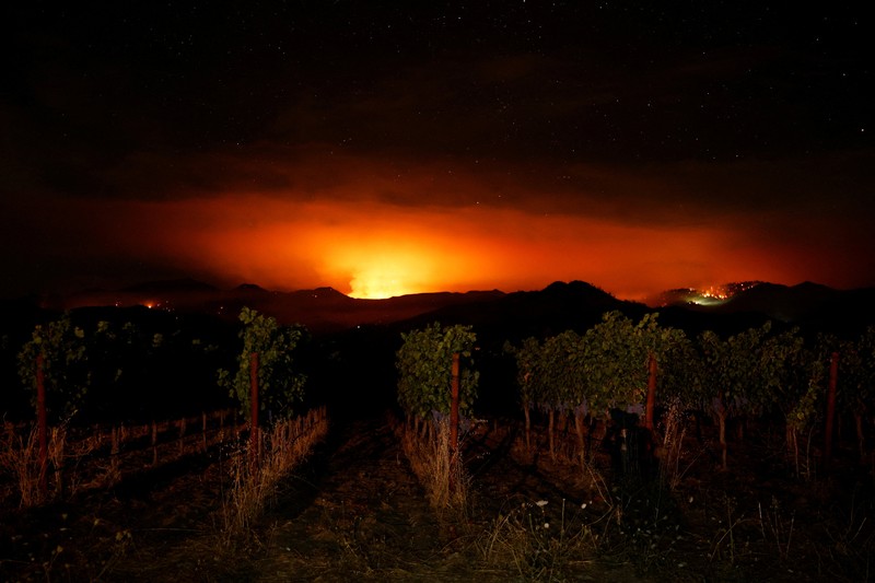Asap mengepul dari Kebakaran Pickett di Napa County, California, AS, 22 Agustus 2025. (REUTERS/Carlos Barria) Asap mengepul dari Kebakaran Pickett di Napa County, California, AS, 22 Agustus 2025. (REUTERS/Carlos Barria)