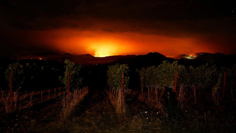 Asap mengepul dari Kebakaran Pickett di Napa County, California, AS, 22 Agustus 2025. (REUTERS/Carlos Barria)
