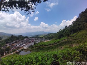 Menghidupkan Kembali Jejak Bupati Pertama di Malasari