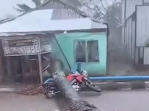 Motor di Palembang Tertimpa Pohon Tumbang Saat Hujan Angin