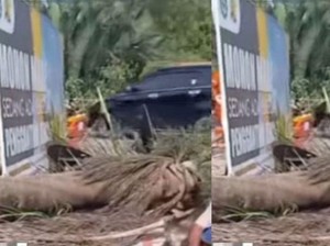 Warga Mempawah Tewas Tertimpa Pohon Usai Melayat, Diduga Akibat Proyek