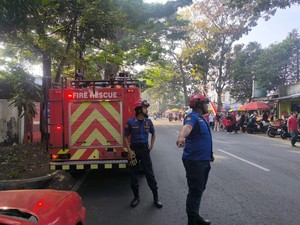Sat Set Damkar Malang Evakuasi Burung Hantu dari Jerat Benang Layangan
