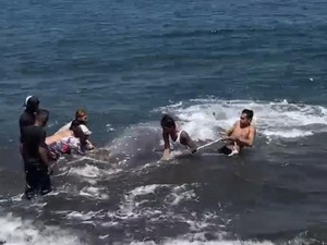 Aksi Heroik Warga Gilimanuk Selamatkan Ikan Besar yang Terdampar di Pantai