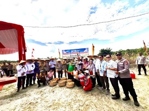 Panen Jagung 15 Ton, Bupati Pelalawan Puji Kapolda Riau Visioner