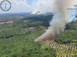 Karhutla di Muba, Asap Tebal Membubung Tinggi di Lahan Perkebunan