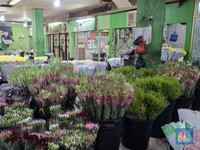 Pasar Bunga Rawa Belong Sunyi Sepi, Pedagang Ungkap Biang Keroknya