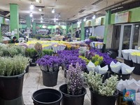 Pedagang Pasar Rawa Belong Dulu Kipas-Kipas Duit, Sekarang Hidup Susah