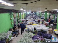 Pasar Bunga Rawa Belong Sepi-Pembeli Makin Sedikit, Pedagang Teriak