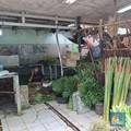 Pasar Bunga Rawa Belong Sunyi Sepi, Pedagang Banting Harga-PHK Pekerja