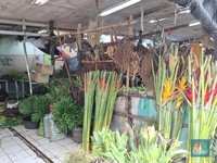 Pasar Bunga Rawa Belong Sunyi Sepi, Pedagang Banting Harga-PHK Pekerja