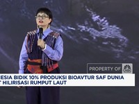 Video: RI Bidik 10% Produksi Bioavtur SAF Lewat Hilirisasi Rumput Laut