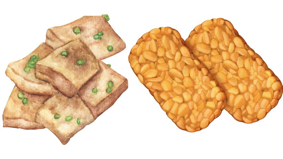 Tahu - Tempe (Grafis- Canva)