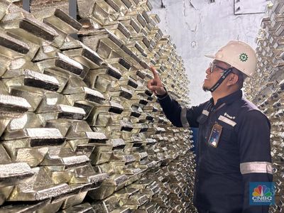 Belum Tutup Tahun, Nilai Transaksi Timah Sudah Tembus Rp 19,4 Triliun