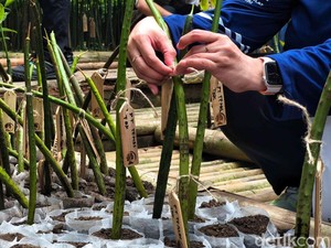 Upaya Pemprov Jakarta Dorong Masyarakat Kenali Ekowisata Berkelanjutan