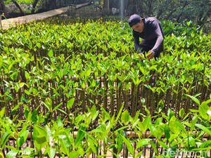Pemprov Jakarta Promosikan Ekowisata Lewat Jakarta Ecotourism Festival