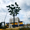 Punya Inovasi Hybrid Wind Tree, Jasa Marga Raih Penghargaan MURI