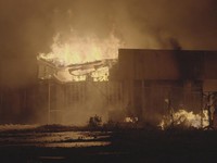 Ngeri! Gedung Parlemen Dilalap Api, Setengah Bangunan Ludes Terbakar