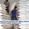 Video: Harga Gabah Naik, Pemerintah Bakal Naikkan HET Beras Medium