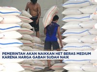 Video: Harga Gabah Naik, Pemerintah Bakal Naikkan HET Beras Medium