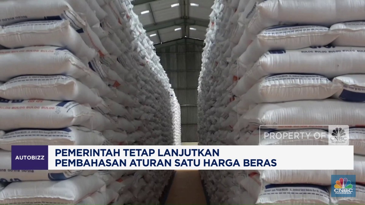Video: Pemerintah Tetap Lanjutkan Pembahasan Aturan Satu Harga Beras
