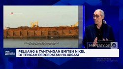 Video: Smelter Tumbuh Melesat, Penambang Genjot Produksi Bijih Nikel