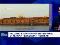 Video: Smelter Tumbuh Melesat, Penambang Genjot Produksi Bijih Nikel
