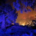 Api Mengamuk Semalaman, Gedung Parlemen Habis Terbakar