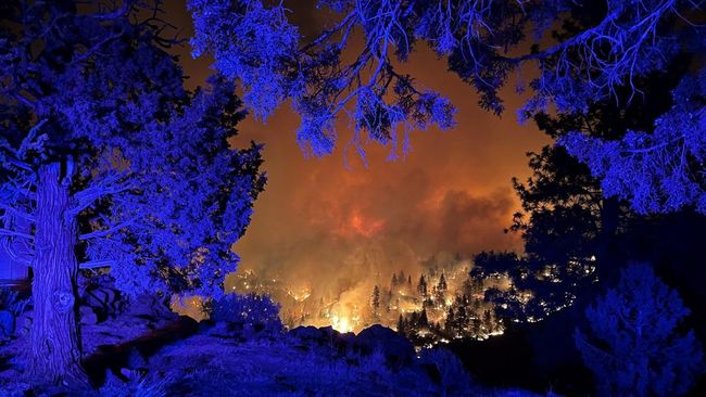 Api Mengamuk Semalaman, Gedung Parlemen Habis Terbakar