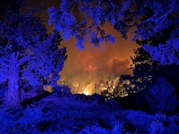 Api Mengamuk Semalaman, Gedung Parlemen Habis Terbakar