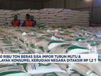 Video: 100 Ribu Ton Beras Sisa Impor Turun Mutu &  Tak Layak Konsumsi