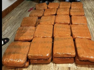 Penyelundupan Ganja 40 Kg asal Padang Digagalkan di Lampung