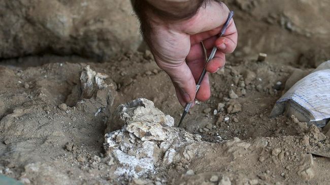 Batu Zaman Purba Tertua Dibuka, Peneliti Kaget Ada Makhluk Hidup