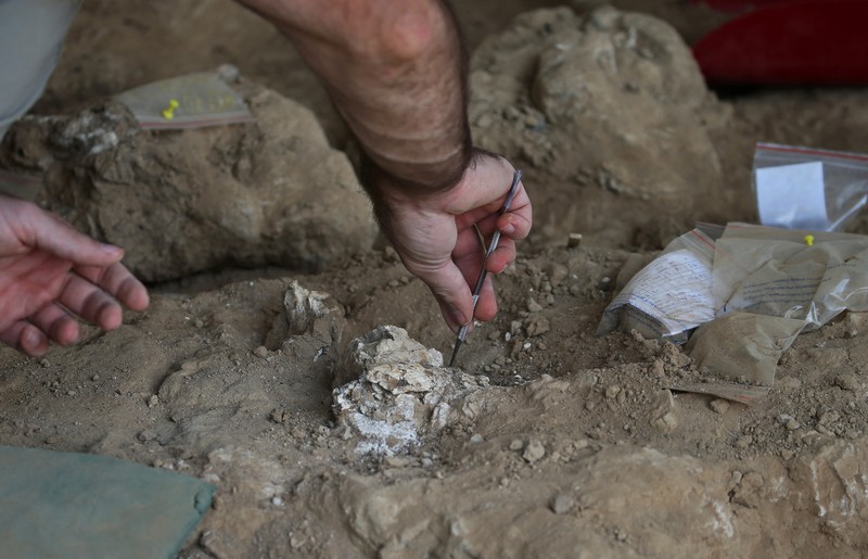 A drone view shows archaeologists working at the excavation site where a presumably dated 1.8-million-year-old lower jawbone belonging to an early species of human was found, in the village of Kvemo Orozmani, Georgia August 15, 2025. REUTERS/Irakli Gedenidze