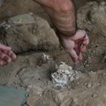 An archaeologist works at the excavation site where a presumably dated 1.8-million-year-old lower jawbone belonging to an early species of human was found, in the village of Kvemo Orozmani, Georgia August 15, 2025. REUTERS/Irakli Gedenidze