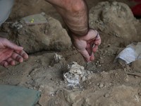 An archaeologist works at the excavation site where a presumably dated 1.8-million-year-old lower jawbone belonging to an early species of human was found, in the village of Kvemo Orozmani, Georgia August 15, 2025. REUTERS/Irakli Gedenidze