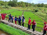 Lewat Program PFmuda, Pertamina Perkuat Ketahanan Energi Hingga Pangan