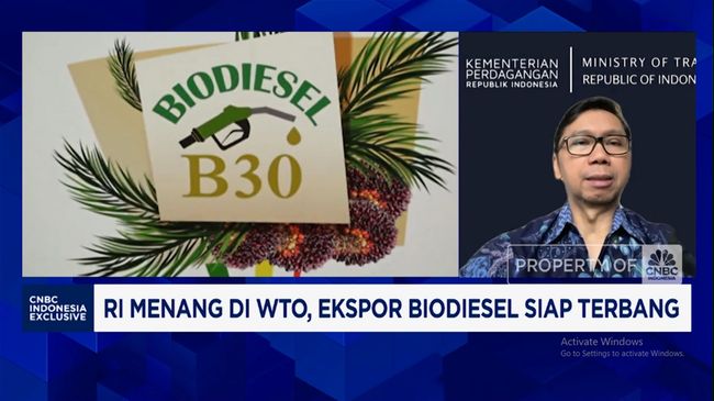 Video: Diplomasi RI Lindungi Sawit Hadapi Aturan "Rumit" Pasar Global