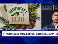 Video: Diplomasi RI Lindungi Sawit Hadapi Aturan 