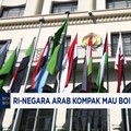 Video: RI-Negara Arab Kompak Mau Boikot Israel dari PBB