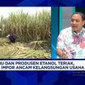 Video: 100 Ribu Ton Gula Tak Laku, Petani Tagih Komitmen Pemerintah