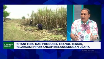 Video: 100 Ribu Ton Gula Tak Laku, Petani Tagih Komitmen Pemerintah