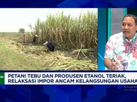 Video: 100 Ribu Ton Gula Tak Laku, Petani Tagih Komitmen Pemerintah